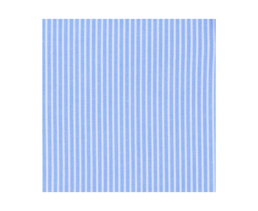 Blue Cotton shirt with white stripes - QUENTIN