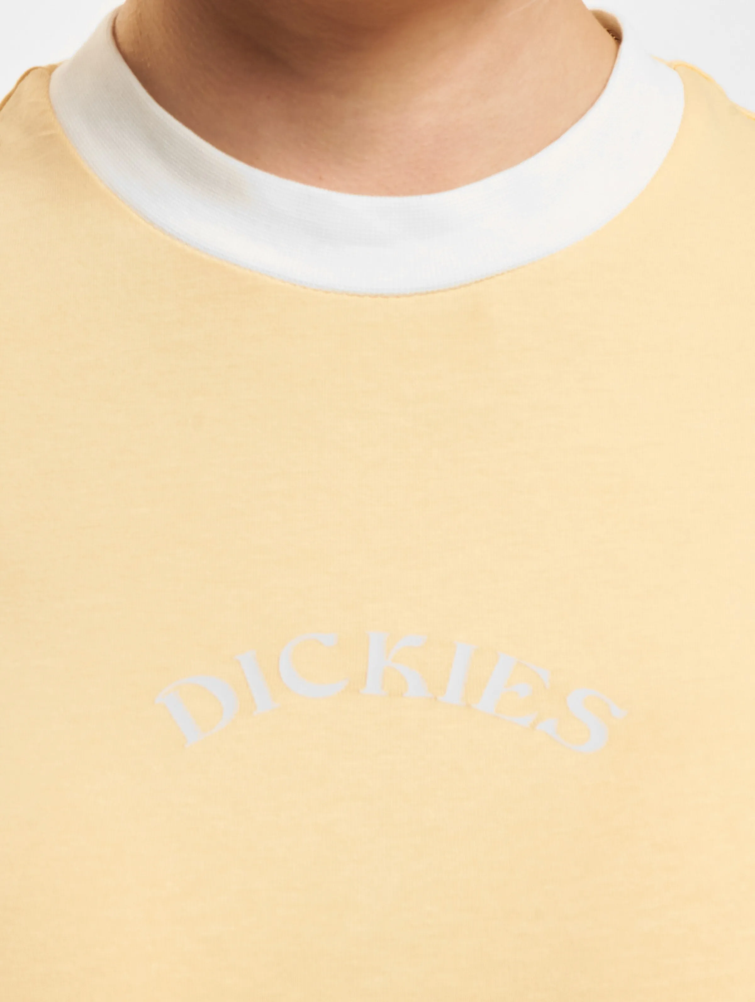 Dickies Warm Springs