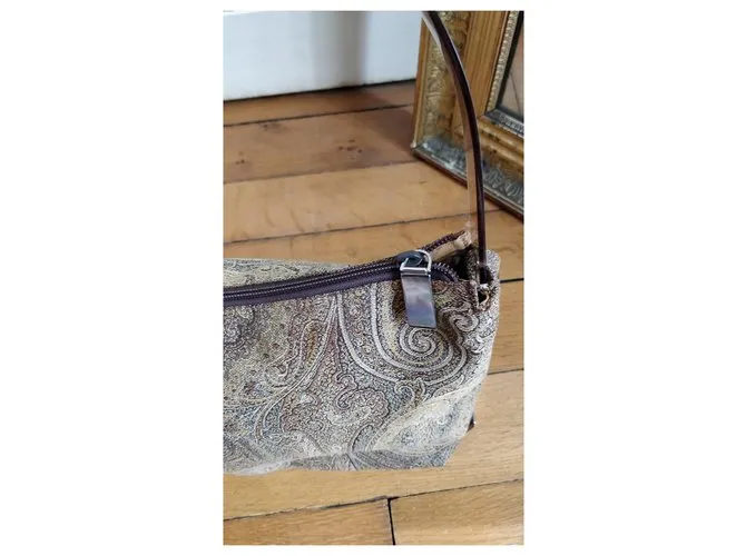 Etro Bolsos de mano Castaño 