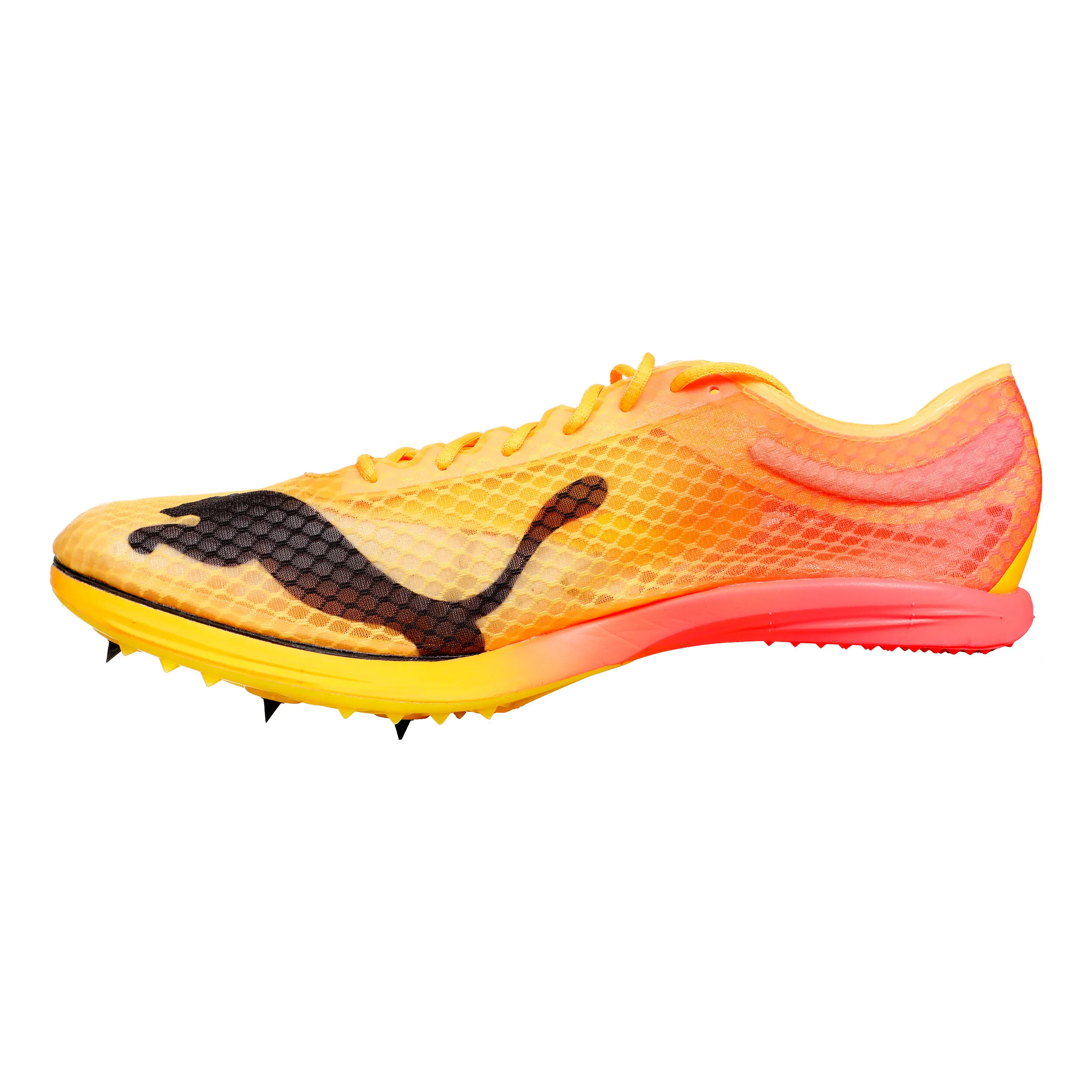 EvoSPEED Distance Nitro Elite+ 2 Spikes