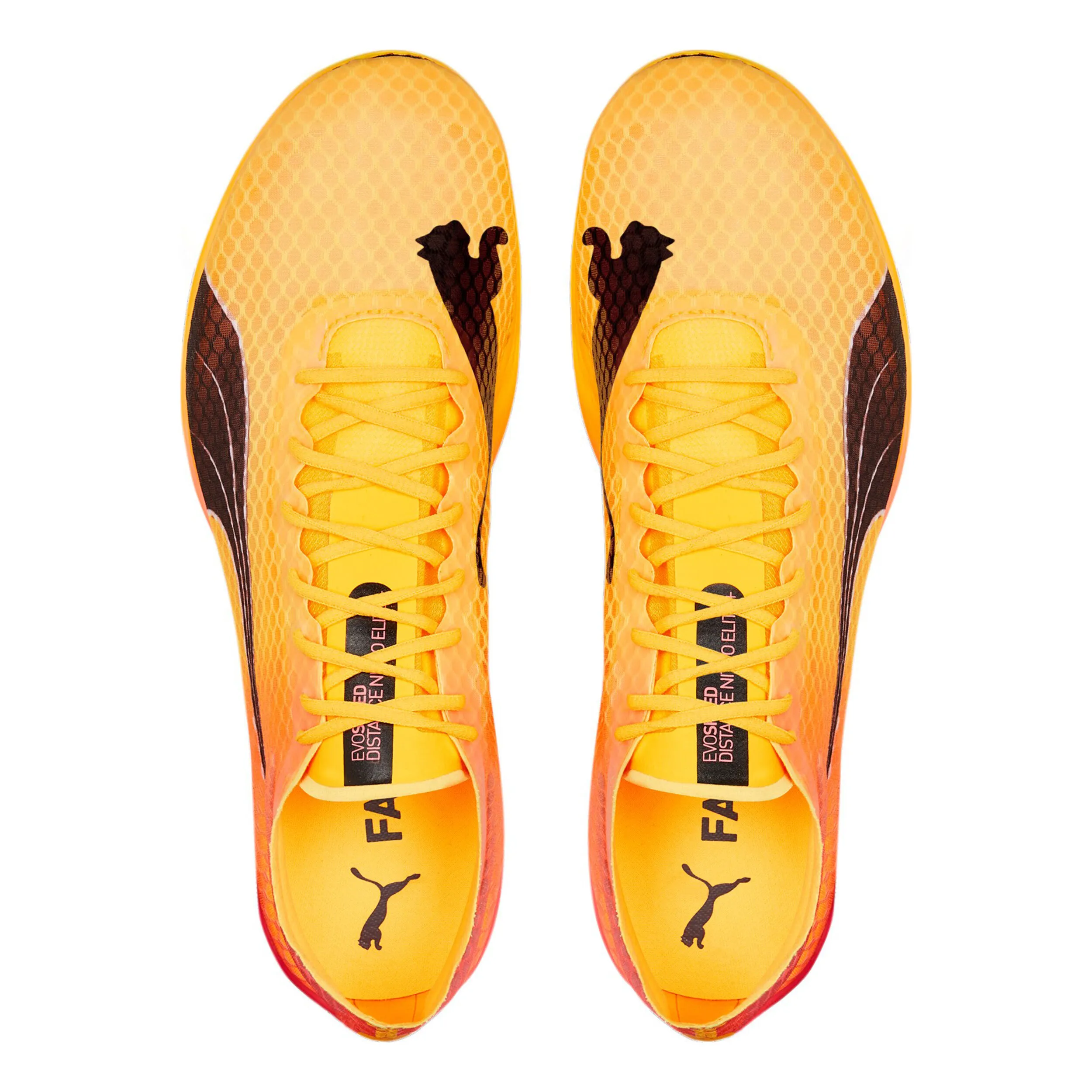 EvoSPEED Distance Nitro Elite+ 2 Spikes