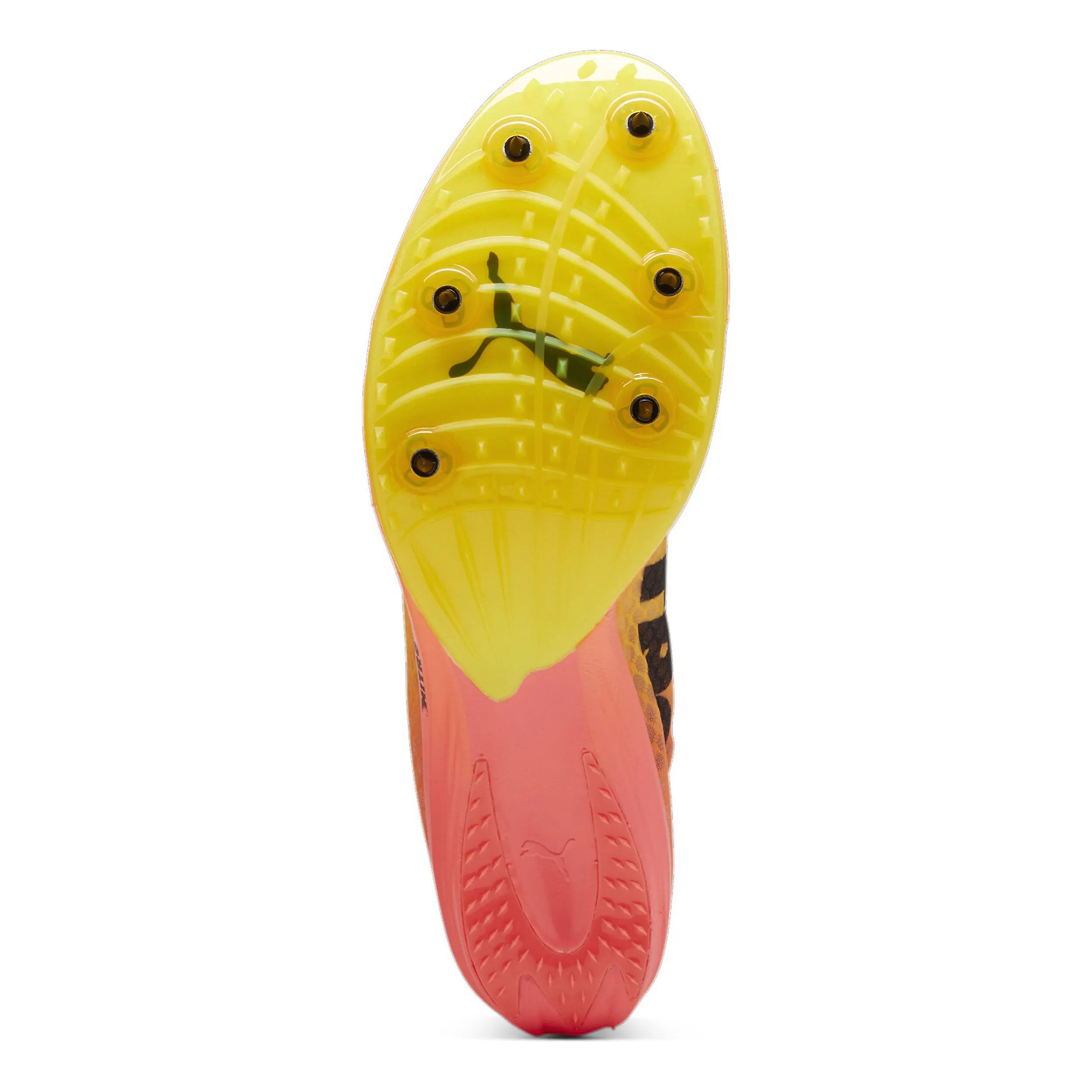 EvoSPEED Distance Nitro Elite+ 4 Spikes