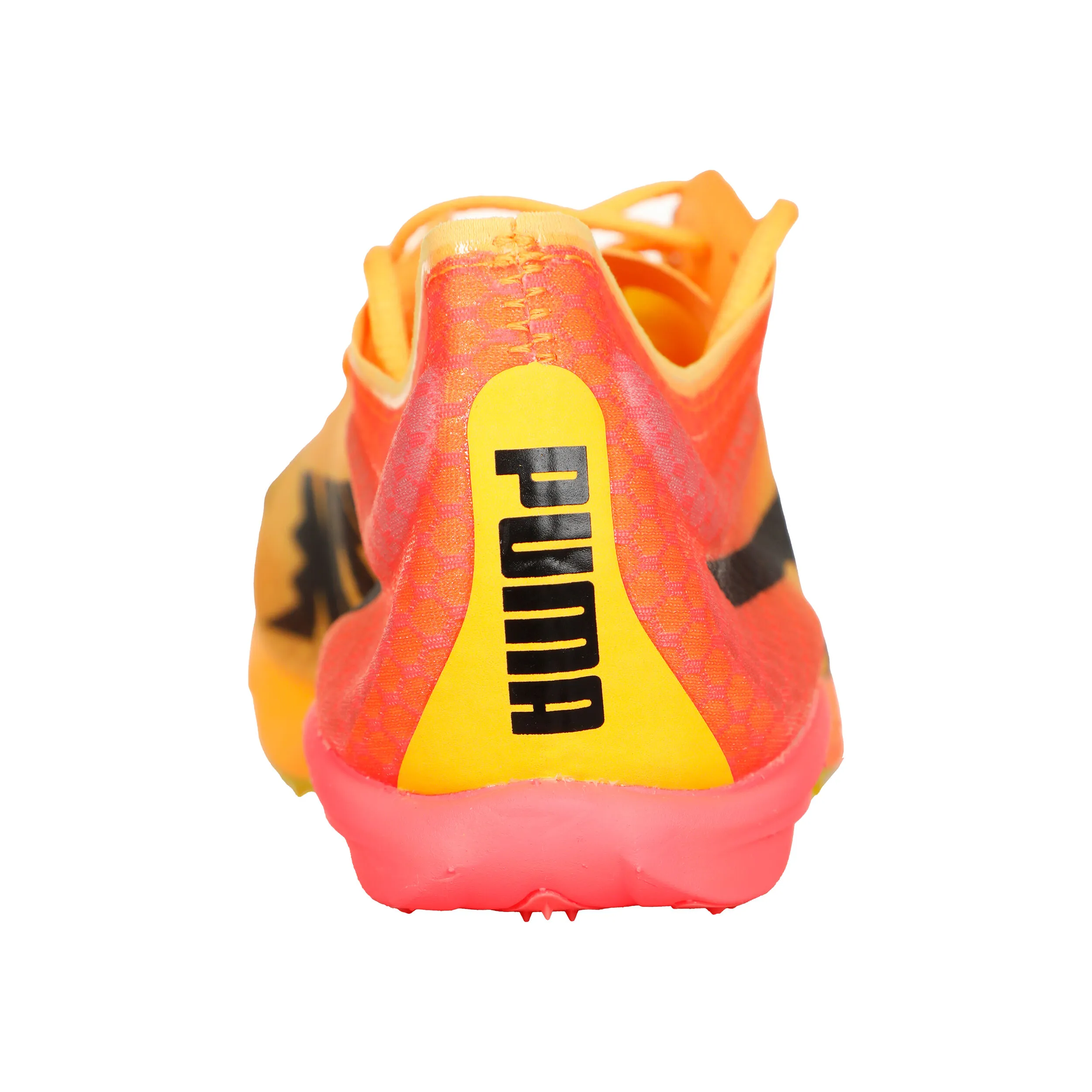 EvoSPEED Distance Nitro Elite+ 4 Spikes