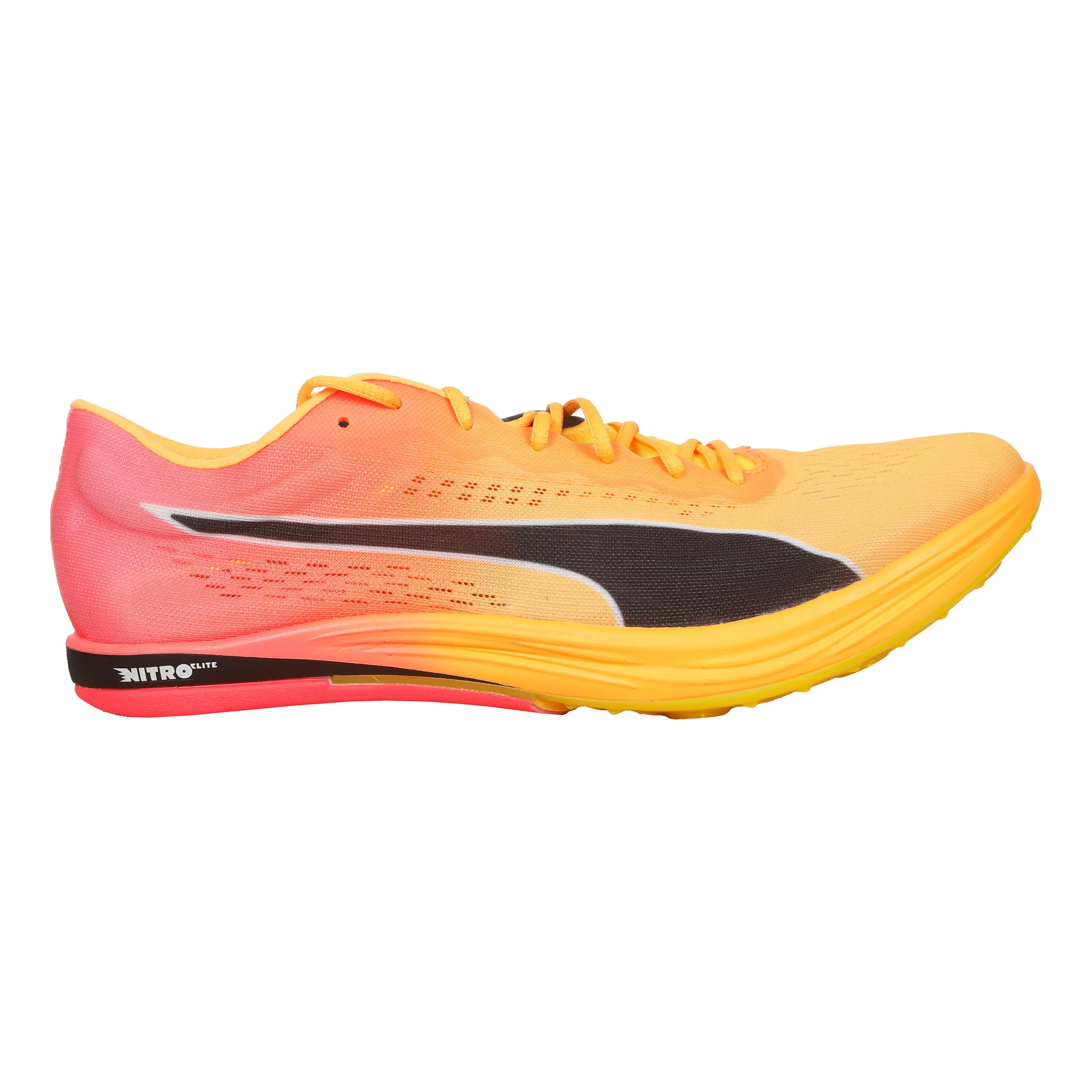 EvoSPEED Long Distance Nitro Elite+ Spikes Hombres