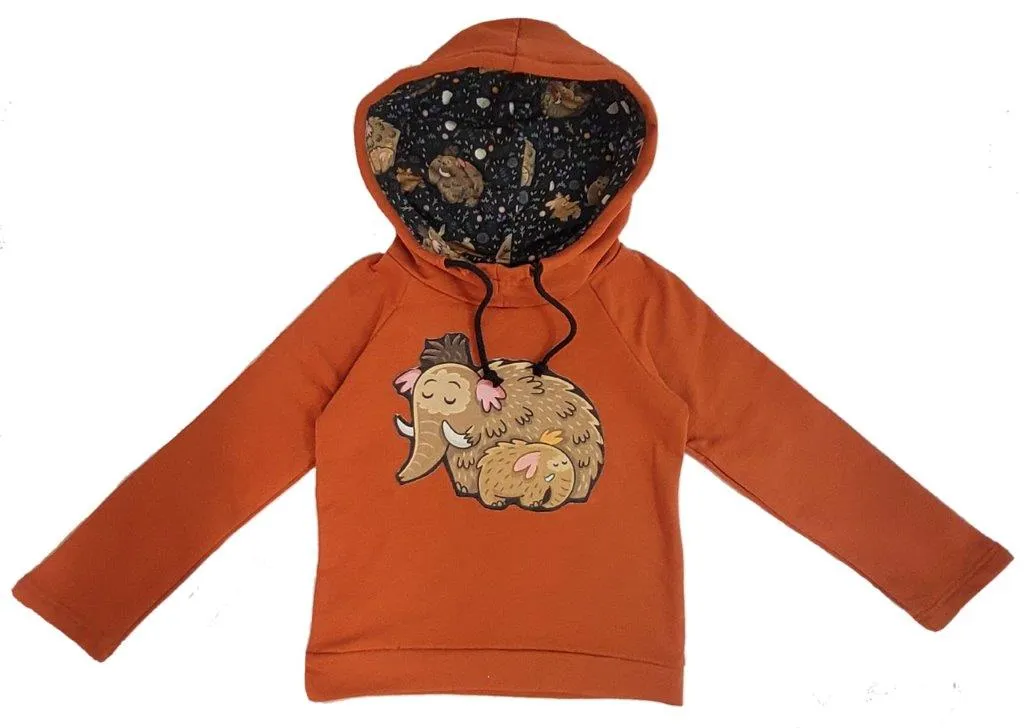 Sudadera Capucha Mamut