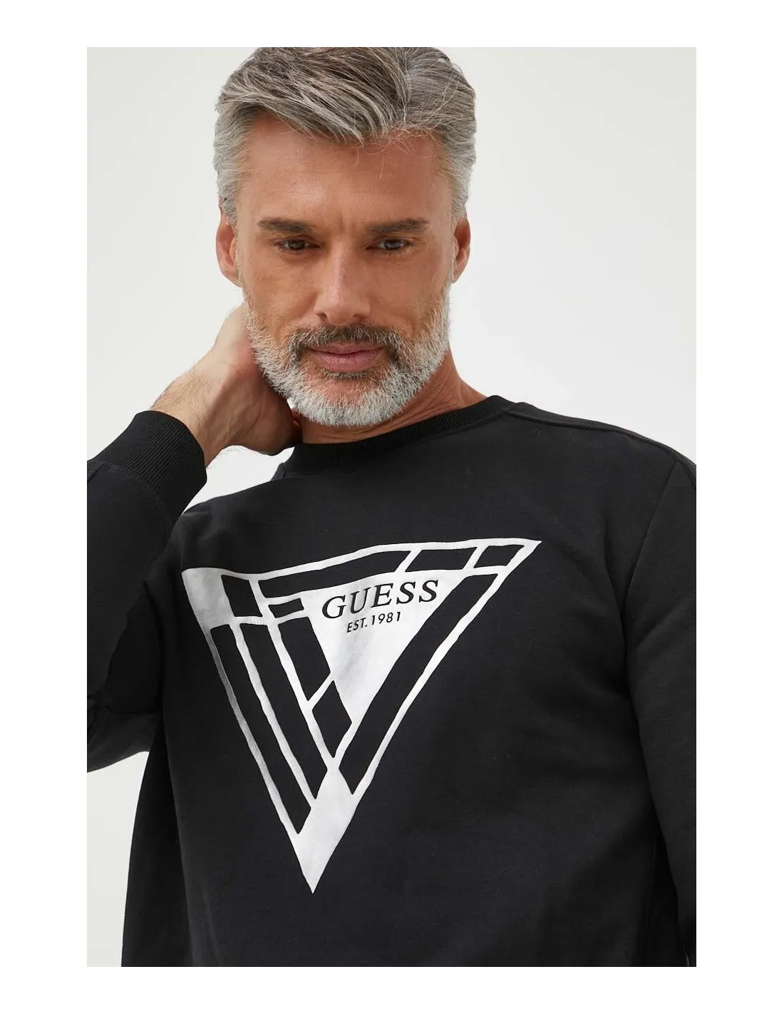 Sudadera Foil Triangle logo de Guess