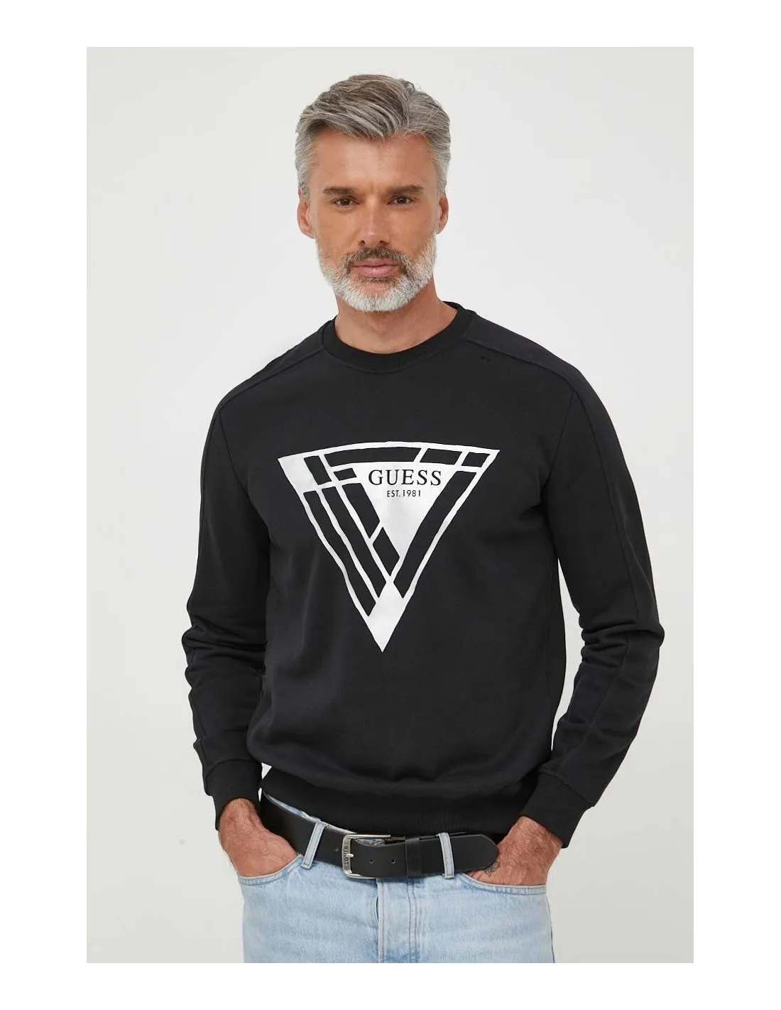 Sudadera Foil Triangle logo de Guess