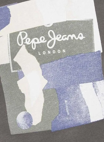 Sudadera Pepe Jeans Oldwive Gris para Hombre